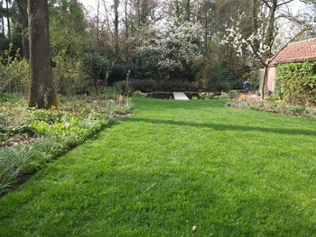 Gras onderhoud